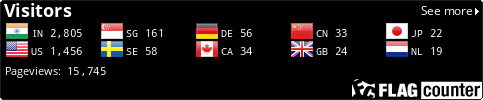Flag Counter