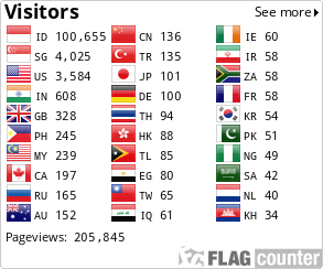 Flag Counter