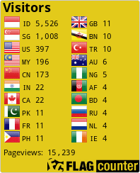 Flag Counter