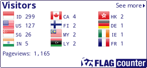 Flag Counter