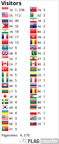 Flag Counter