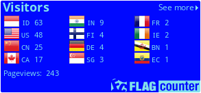 Flag Counter