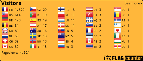 Flag Counter