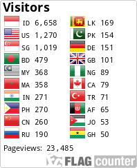 Flag Counter