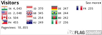 Flag Counter