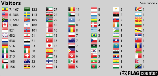 Flag Counter