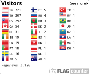 Flag Counter