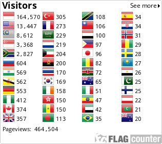 Flag Counter