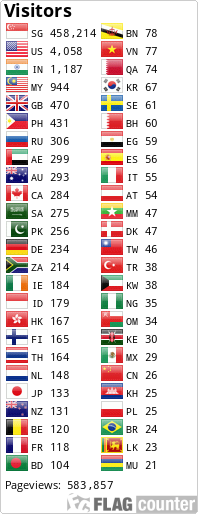Flag Counter