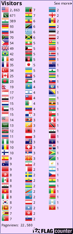 Flag Counter