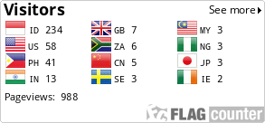 Flag Counter