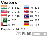 Flag Counter