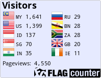 Flag Counter
