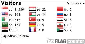 Flag Counter