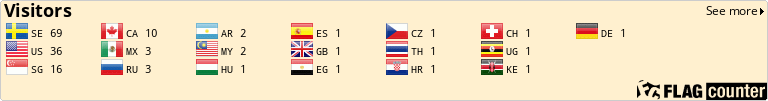 Flag Counter