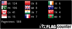 Flag Counter