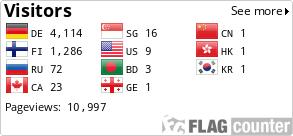 Flag Counter