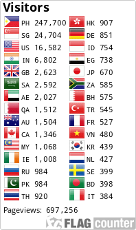 Flag Counter
