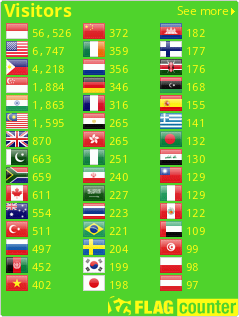 Flag Counter