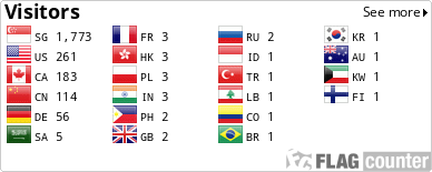 Flag Counter