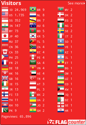 Flag Counter