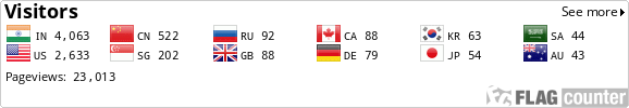 Flag Counter
