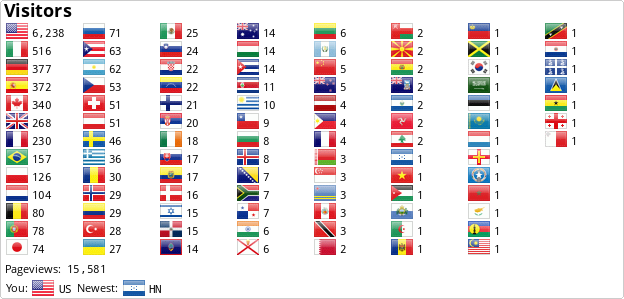 Flag Counter