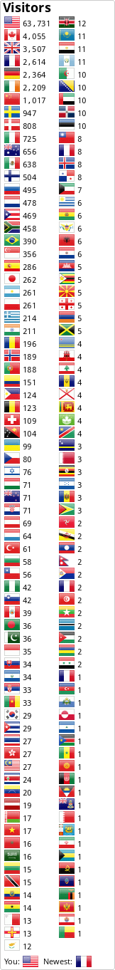 Flag Counter