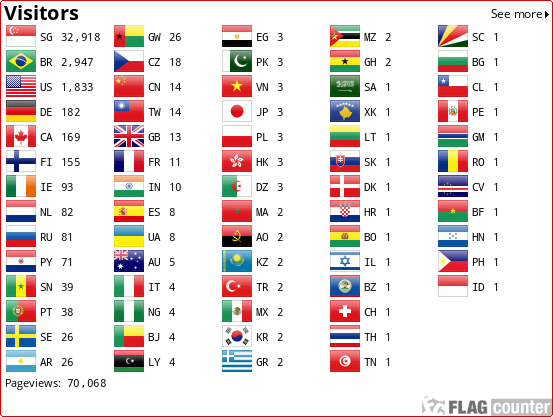 Flag Counter
