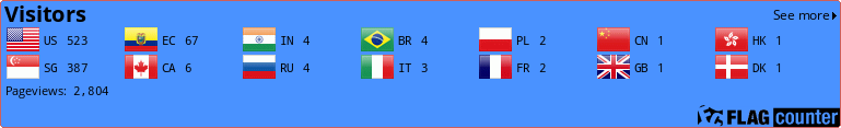 Flag Counter