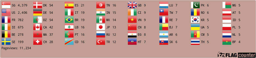 Flag Counter