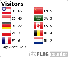 Flag Counter