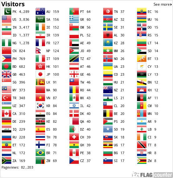 Flag Counter