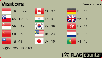 Flag Counter