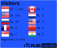 Flag Counter