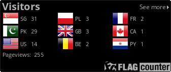 Flag Counter