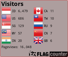 Flag Counter