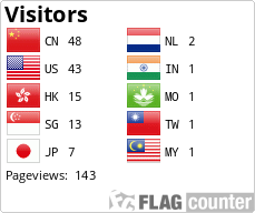 Flag Counter