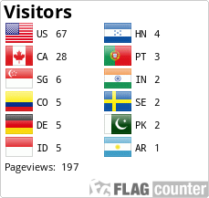 Flag Counter