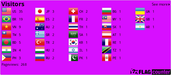 Flag Counter