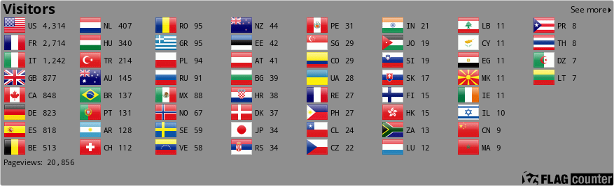 Flag Counter