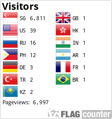 Flag Counter