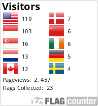 if you see this, you might have to disable your adblocker to see the Flag counter!