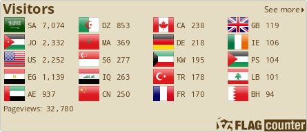 Flag Counter
