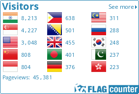 Flag Counter