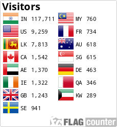 Flag Counter