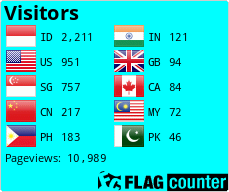 Flag Counter