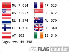 Flag Counter