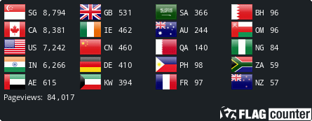 Stats for Webpage Visitors