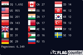 Flag Counter